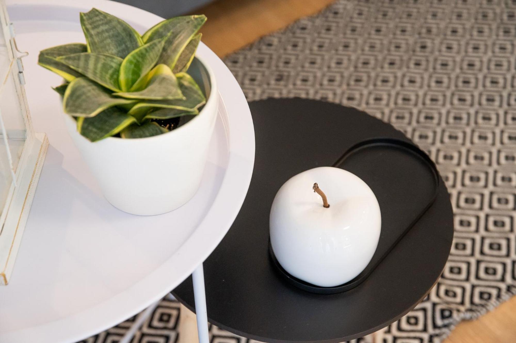 Olinar Apartments Zadar Ngoại thất bức ảnh