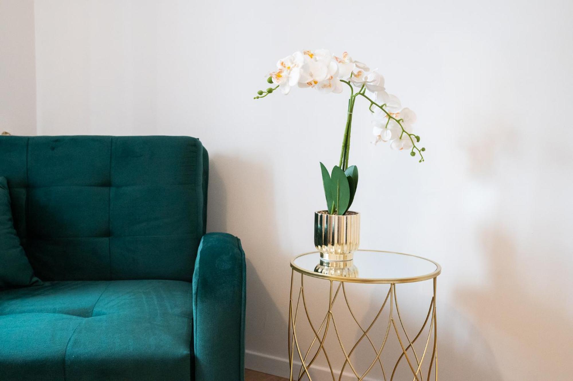 Olinar Apartments Zadar Ngoại thất bức ảnh